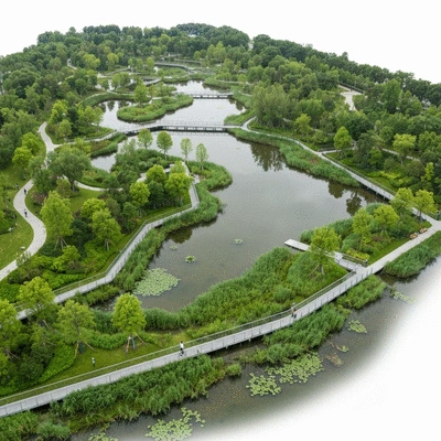Aerial view of an urban wetland integrated into a city park, showing walking paths and diverse plant life, no text, no words, no typography, clean image